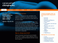 canarywharfchiropractic.com