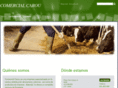 comercialcarou.com