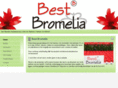 bestbromelia.com