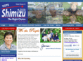 voteshimizu.com