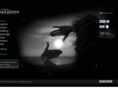bazaleev.com