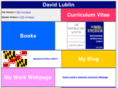 davidlublin.com