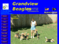 grandviewbeagles.com