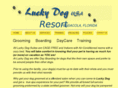 luckydogusa.com