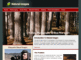 mnimagesonline.com