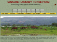 panachehackneys.com