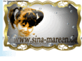 sina-mareen.info