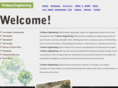 trinkausengineering.com