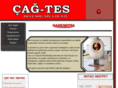 cagtes.com