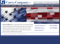 careycpas.com