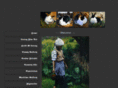 lorenzfineart.net