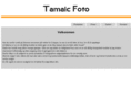 tamaic.com