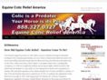 equinecolicreliefamerica.com