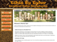 tikisbytyler.com