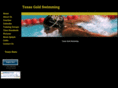 texasgoldswimming.org