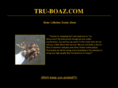tru-boaz.com