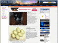 dubaitimes.com