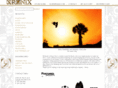 ronixstore.com