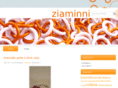 ziaminni.com