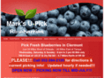 blueberriesclermont.com