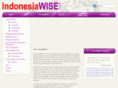 emergingwise.com