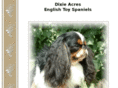 engtoyspaniel.com