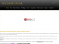 magnesiabank.com