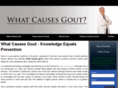 whatcausesgout.org