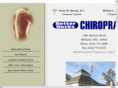betterbackschiro.com