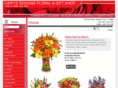 carysdesigns.com