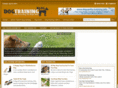 daytondogtraining.org