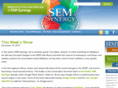 semsynergy.com