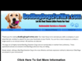 bedbugdogsforhire.com