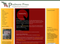 piedmontpines.org