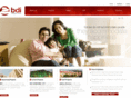 bdigroup.co.in