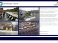 geodesignireland.com
