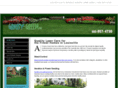 grassygreenlawns.com