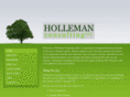 hollemanconsulting.com