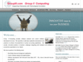 groupiii.com
