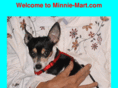 minnie-mart.com