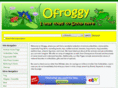 ofroggy.com