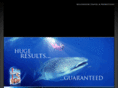 vacationincentives.info