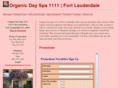 1111organicdayspa.biz
