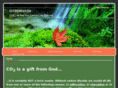 citizens4co2.com