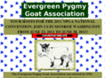 evergreenpygmygoatassociation.com