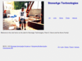 stoneagetech.com