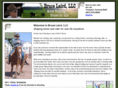 brucelairdhorses.com