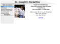 joeborzellino.com