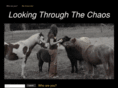 lookingthroughthechaos.com
