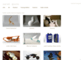 sarahquinndesign.com